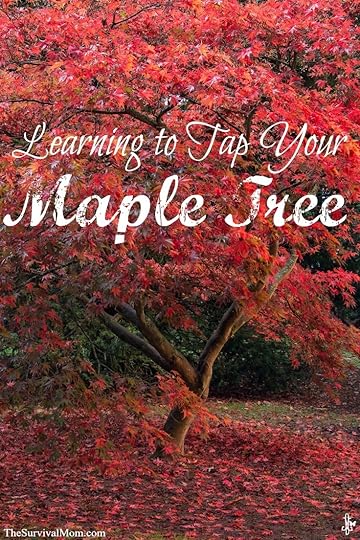 How to tap maple trees.