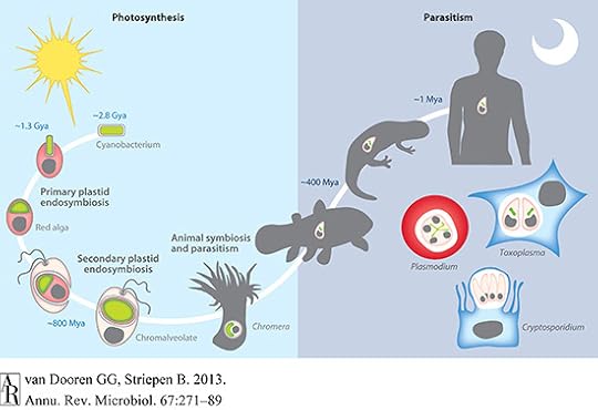 plasmodium-evolution