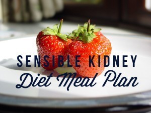 sensible meal plan