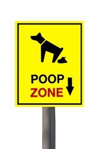 Dog Poop Sign