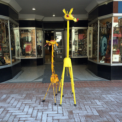 giraffe