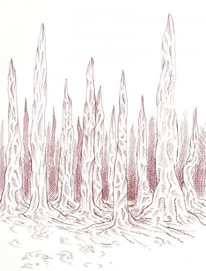 046-petrified-forest