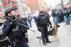 Brooklyn cops shot