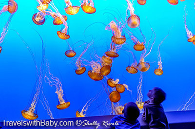 I guess I'd have to choose to sleep beneath these jellies at the Monterey Bay Aquarium--awesome!