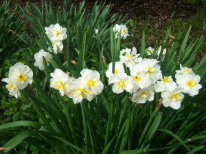 springequinox