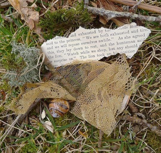 Field words 5