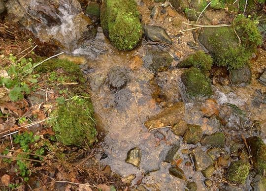 Wood & Water 7