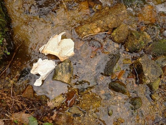 Wood & Water 8