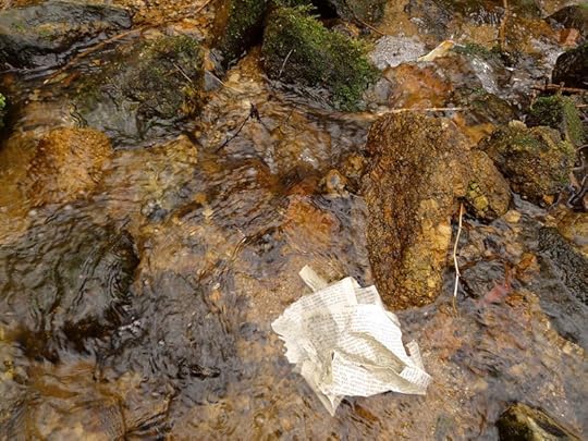 Wood & Water 9