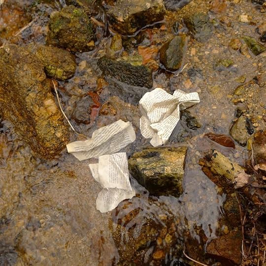 Wood & Water 10