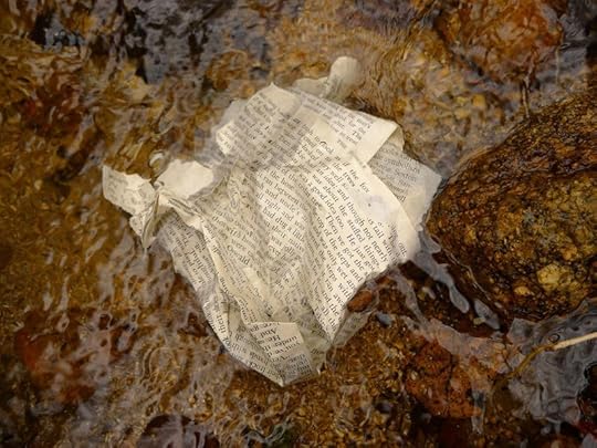 Wood & Water 11