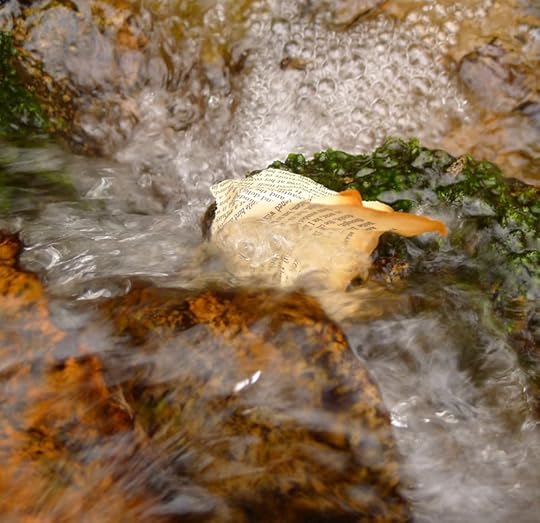Wood & Water 12