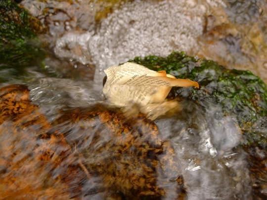 Wood & Water 13