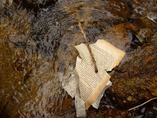Wood & Water 16