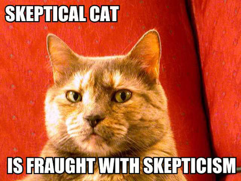 Skeptical cat is fraught with skepticism