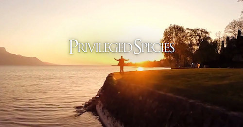 Discovery_PrivilegedSpecies_wide_4.jpg