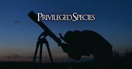 Discovery_PrivilegedSpecies_wide_19.jpg