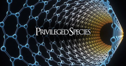 Discovery_PrivilegedSpecies_wide_14.jpg