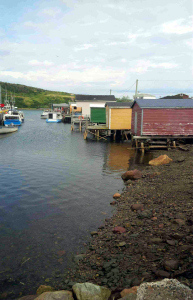 Fortune Harbour Newfoundland