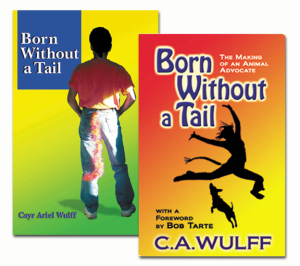 The 2007 & and 2015 editions.
