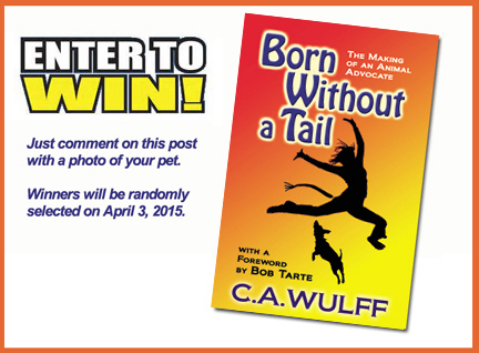 entertowin