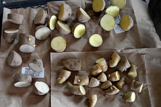 cut-potatoes