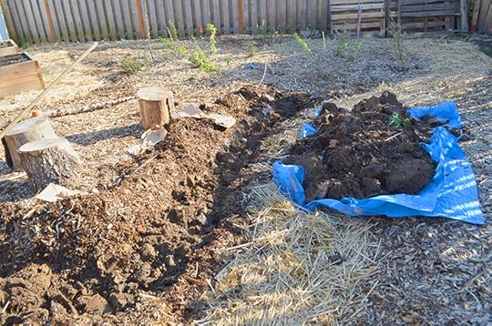 potato-trench