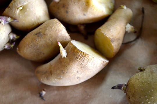 cut-potato-eye