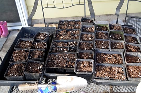 recycled-seed-trays-filled