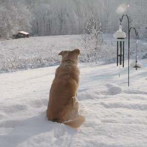 524860_10200306585091559_756123494_n