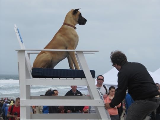 Marmaduke on set, by Patty Mooney. CC-BY-2.0 via Flickr.