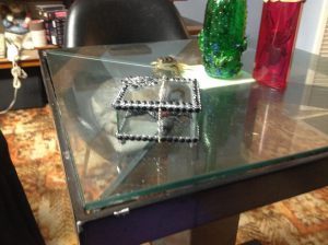 More for the Sinister Dressing Table