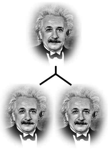 Einstein-Fission
