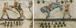 Training Horses
