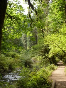 Silver creek trail