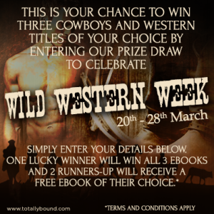 wildwest_comp_socialmedia_patch