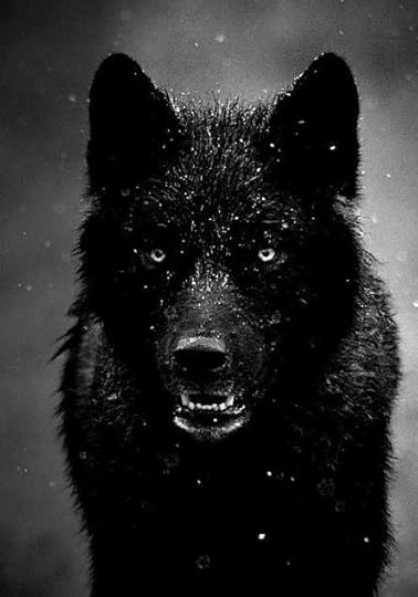 the-black-dog