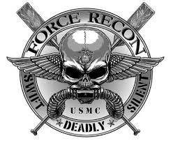  photo Ricochet Force Recon_zpsnnka8pou.png