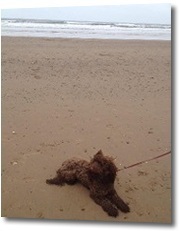 filey-beach