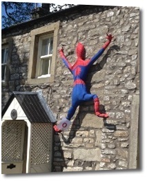 spidercrow