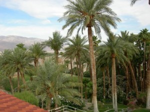 Oasis at Furnace Creek Inn