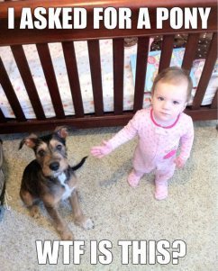 Ungrateful+brat+all+i+got+was+coal_5ef563_3156907