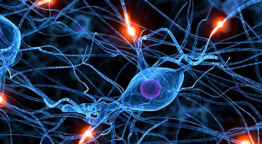 PKR-Inhibitor-May-Improve-Learning-and-Memory