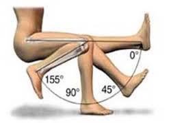 knee range of motion