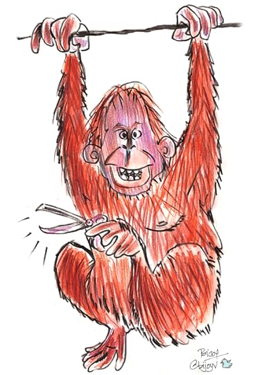 orangutan01