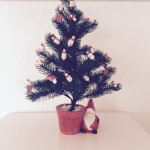 Un alberello triste in lavanderia