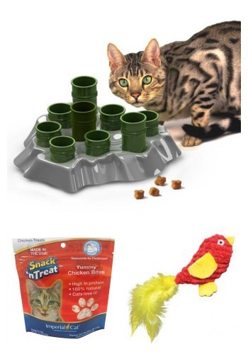 cat-toy-giveway
