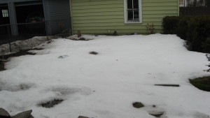 lawn March 01