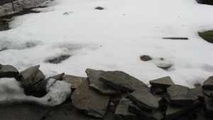 lawn March 02