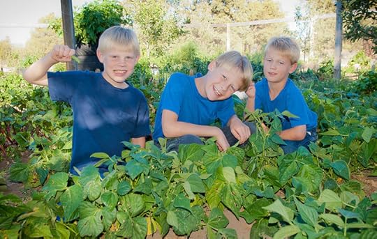 Bringing Up Boys - A Helpful and Encouraging Resource for Raising Sons